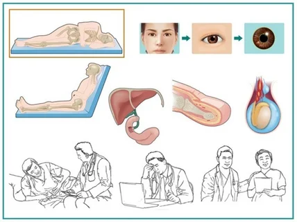 메디컬 전문 의학 과학 일러스트 최상의 퀄리티로 제공