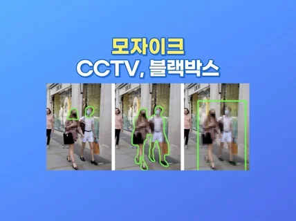 CCTV 블랙박스 모자이크를 해 드립니다.