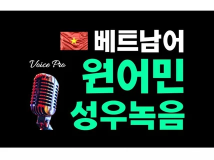 베트남어 원어민 외국인성우 번역더빙녹음서비스