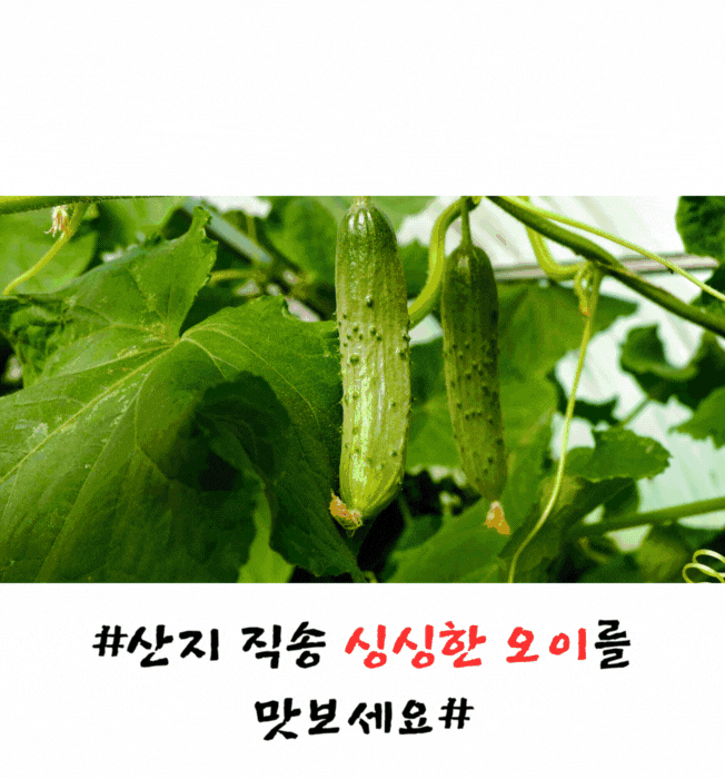 상세이미지-1
