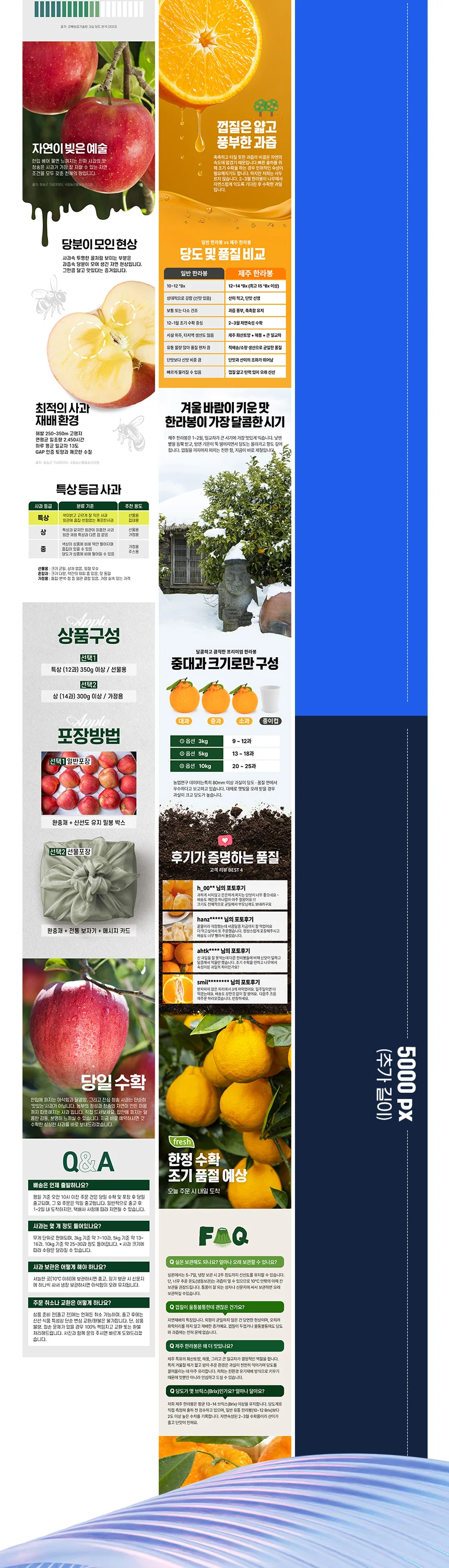 상세이미지-5