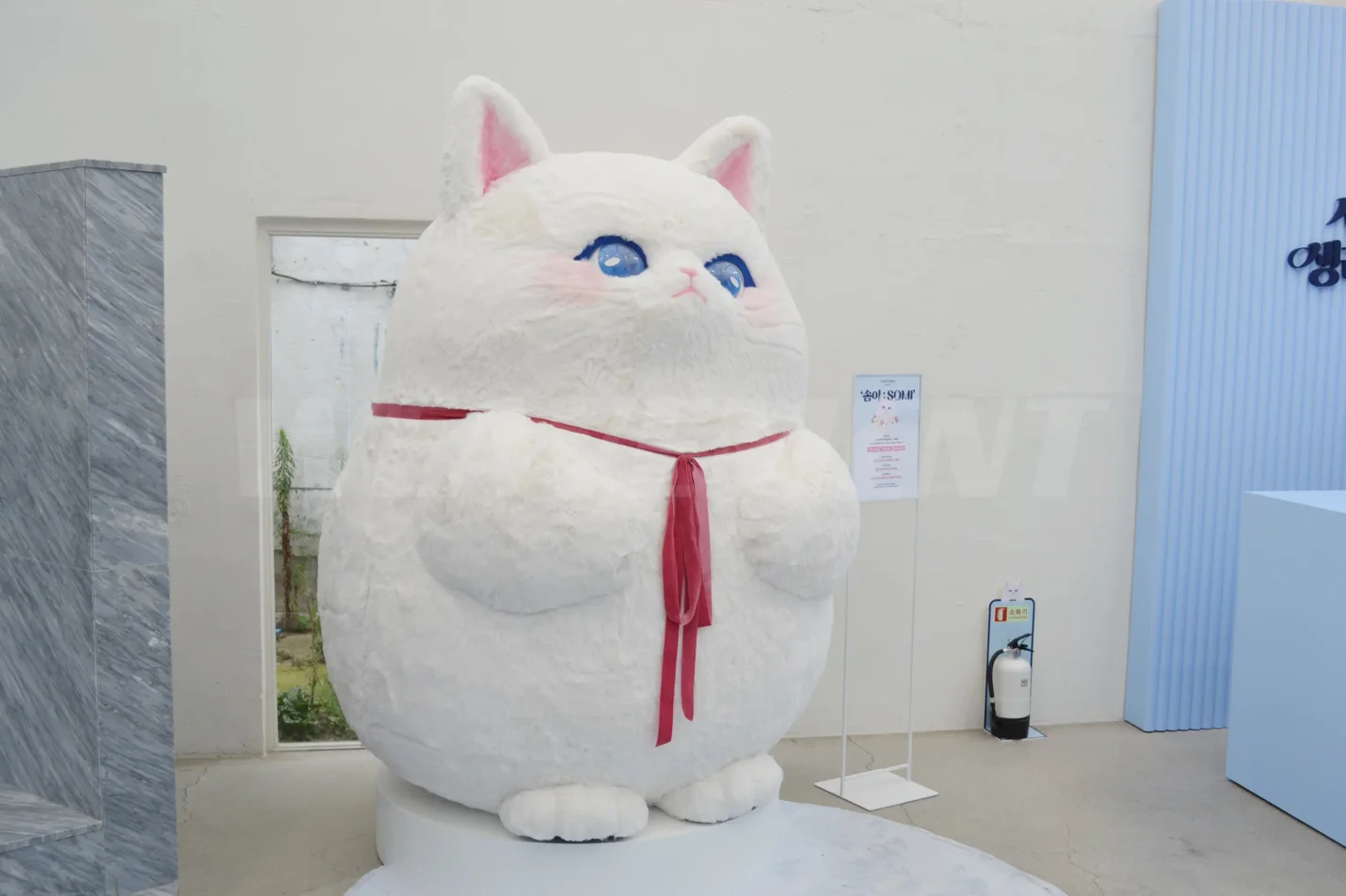 상세이미지-6