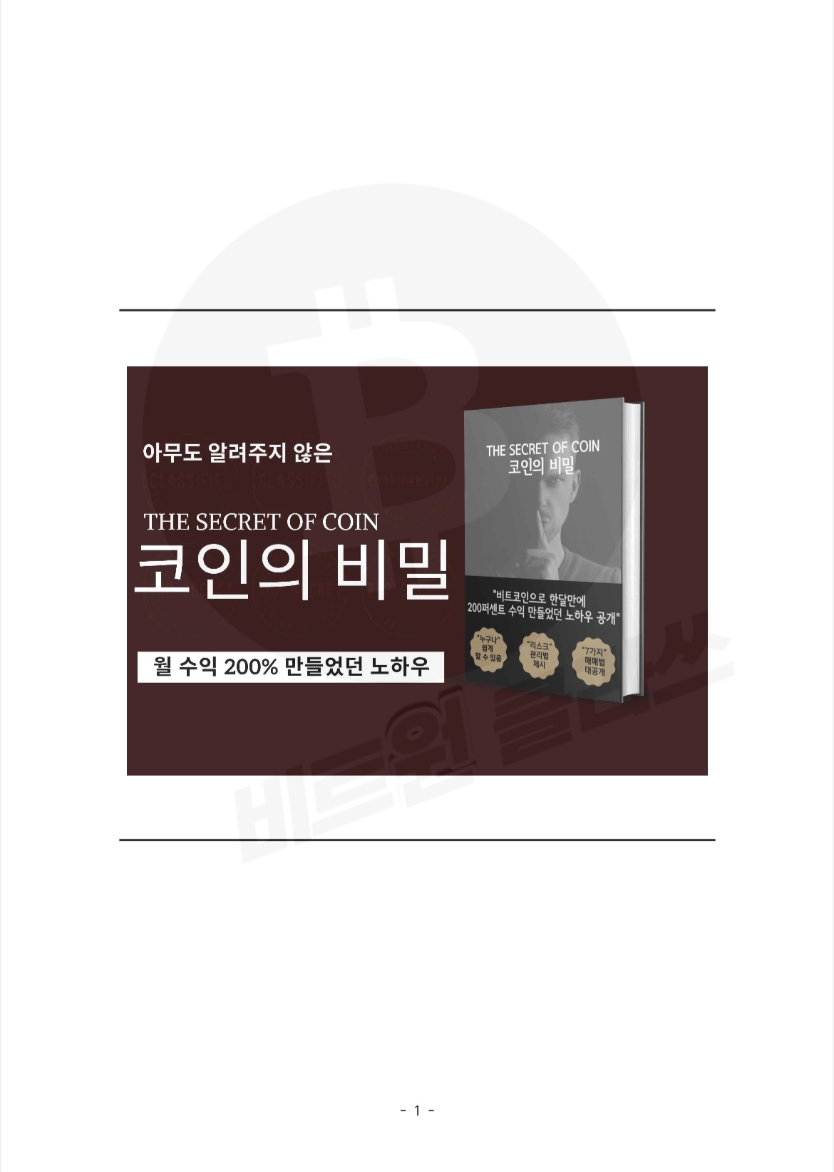 하이먼 민스키 모델 비트코인 (95) 사진