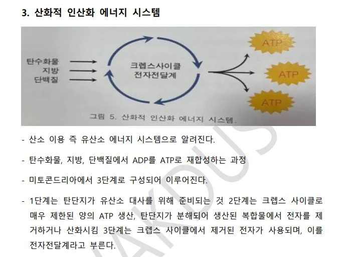 상세이미지-0