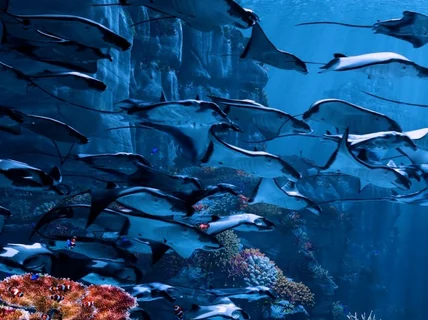 공간의 몰입감을 더해주는 미디어아트