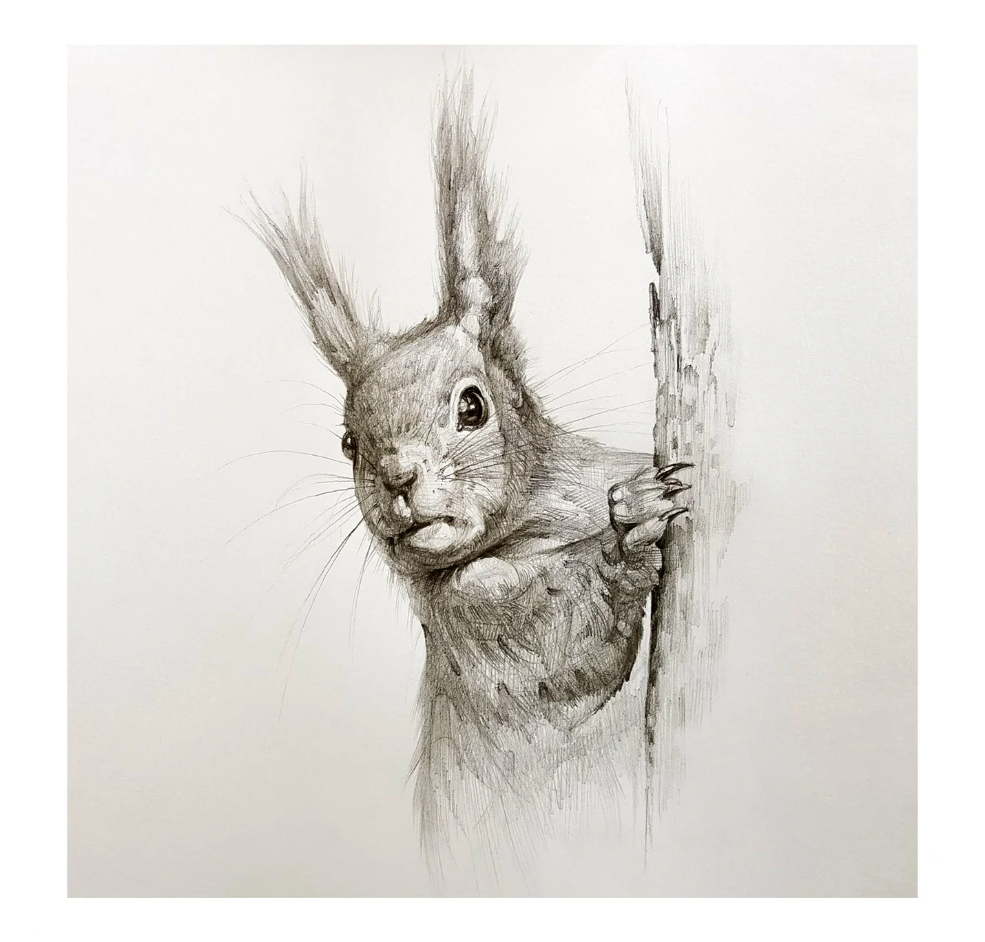 상세이미지-5