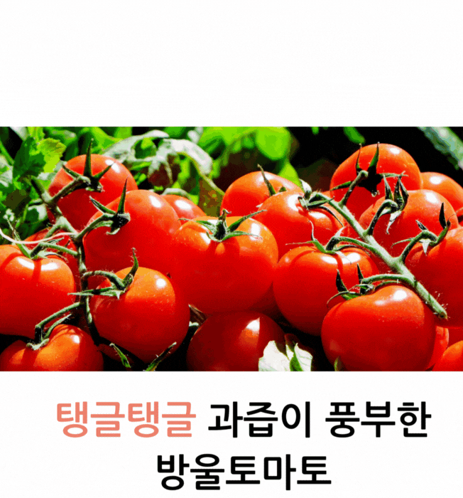 상세이미지-3