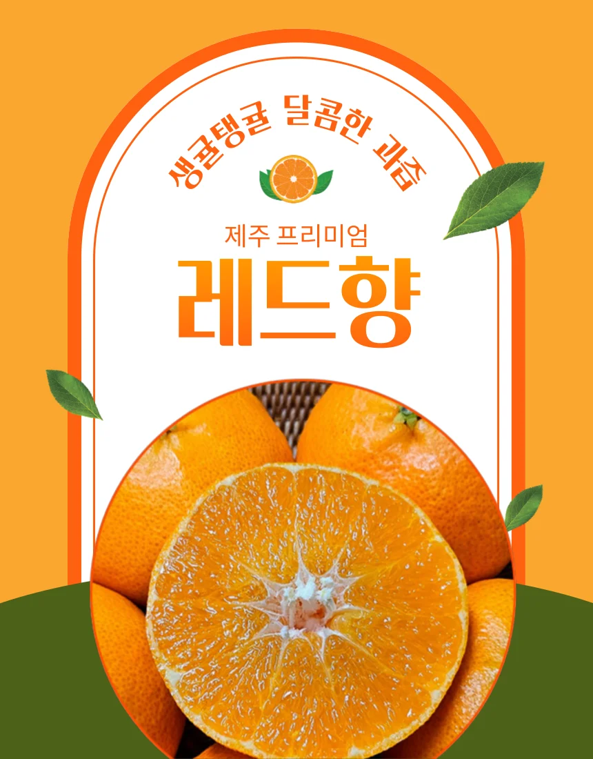 상세이미지-8