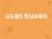 고도몰5 튜닝과 패치를 진행해 드립니다.