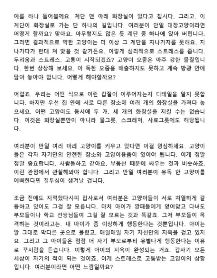상세이미지-3