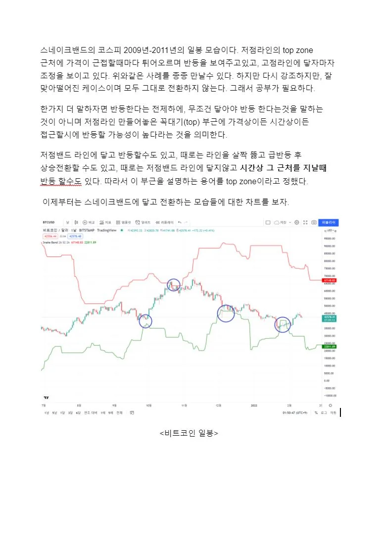 코인 주식 차트 저점매수 고점매도 스네이크밴드 매매법 - 크몽