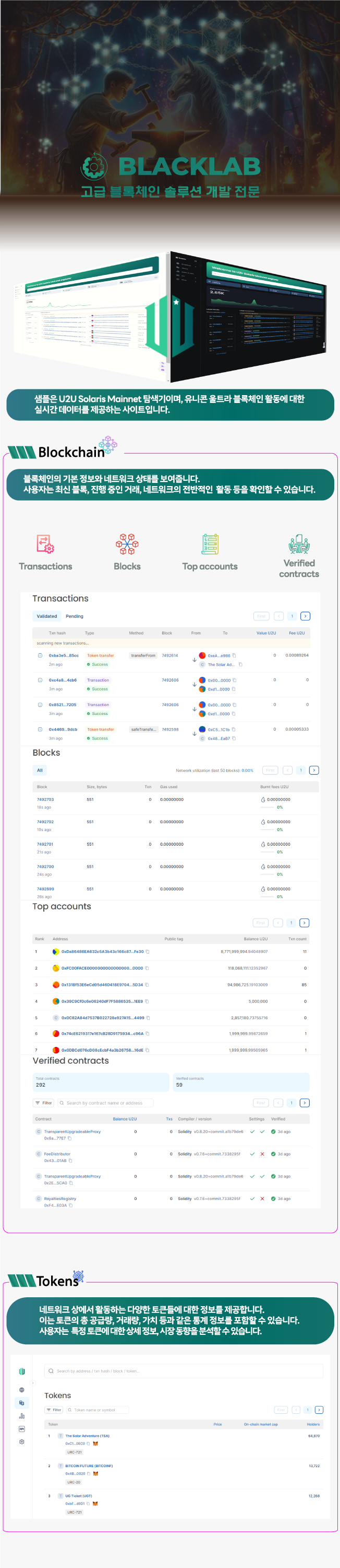 블록체인 메인넷 구축 + GitHUB - 크몽