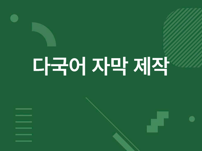 다국어 자막 자동화