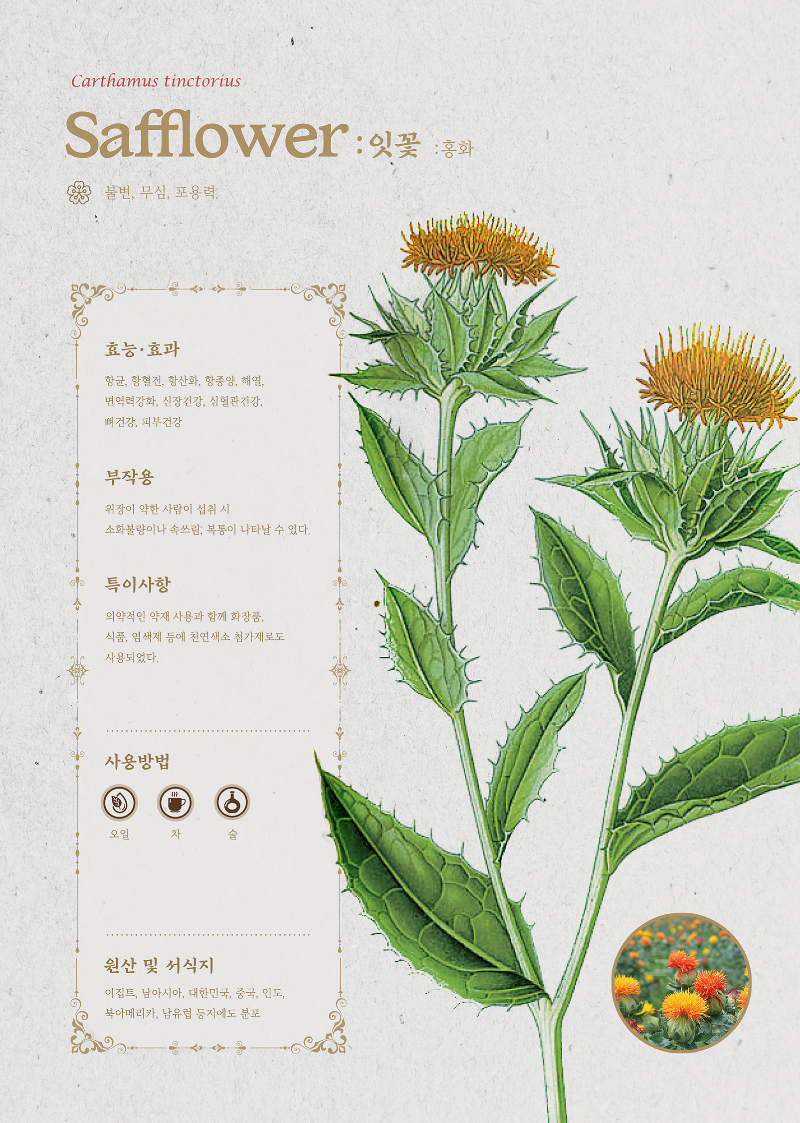 로판에 쓸모있는 서양약초도감 - 크몽