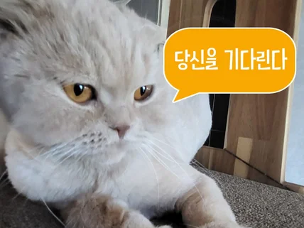 '돈' 냄새 물씬 나는 상세페이지 제작