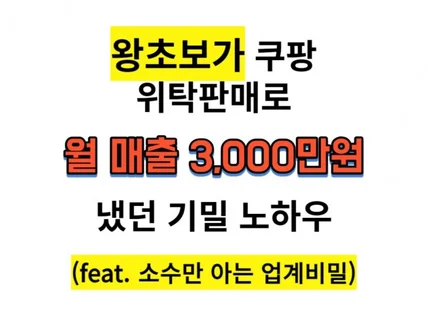 왕초보가 쿠팡셀러로 월 매출 3000만원 냈던 노하우
