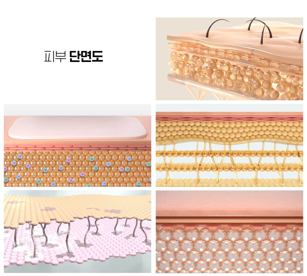 상세이미지-0