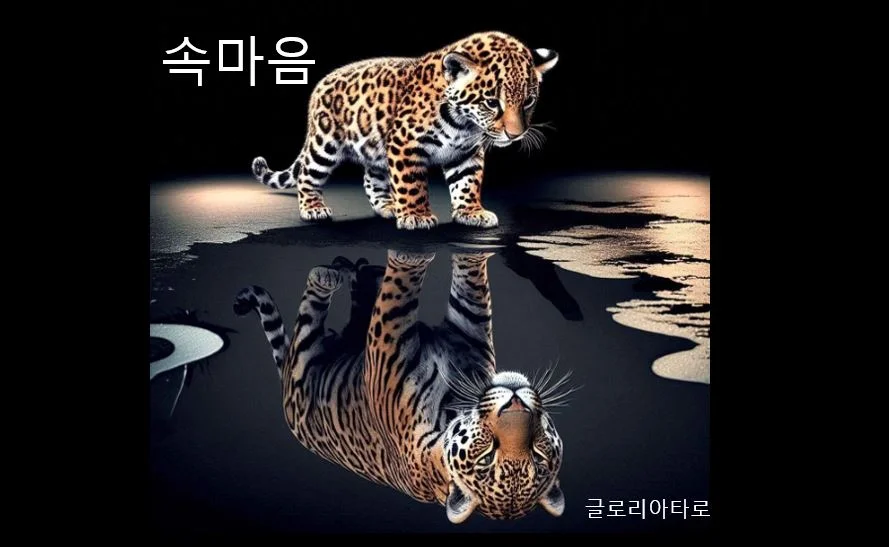 상세이미지-0