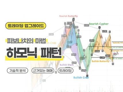 코인 하모닉 패턴 차트분석 실전 노하우