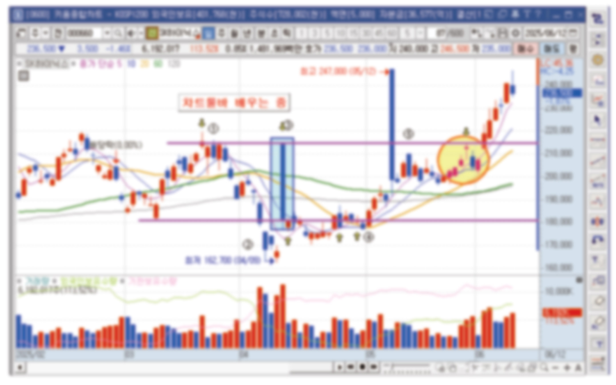 주식 한번 셋팅해두고 돈버는 HTS 활용법 - 크몽