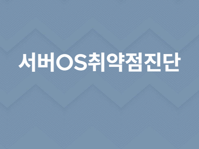 서버보안 윈도우즈 유닉스 리눅스 시스템 취약점 점검 - 크몽