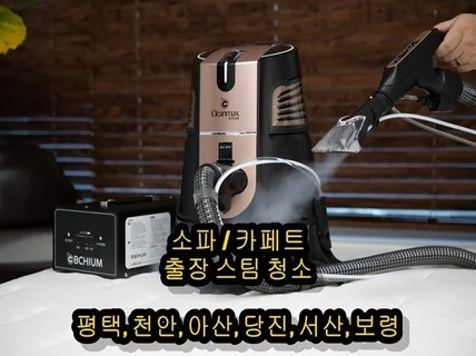 대전 경기 ⭐️소파/카페트⭐️출장스팀청소전문⭐️빈대제거