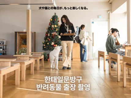 애견동반 반려묘 반려견 스냅 전국 출장 동물 촬영합니다