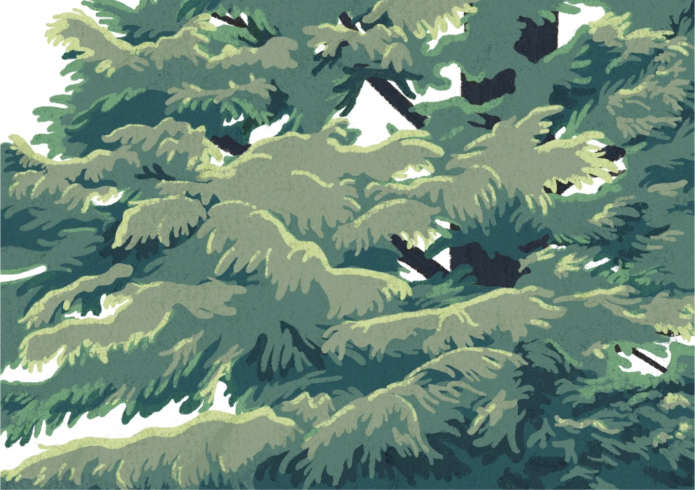 상세이미지-0