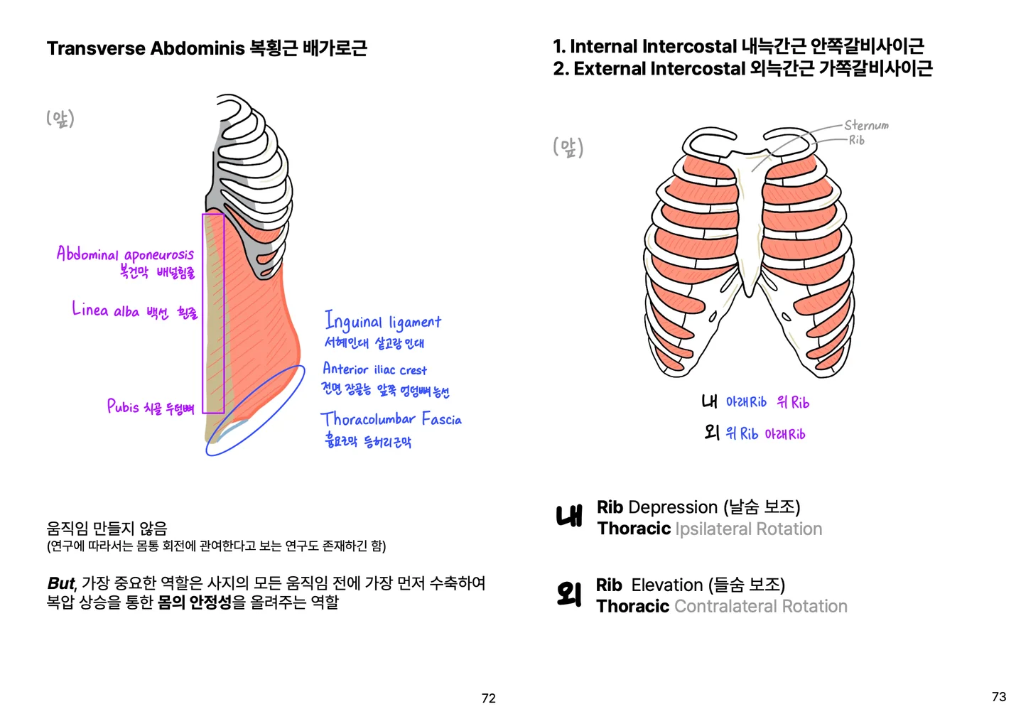 상세이미지-4