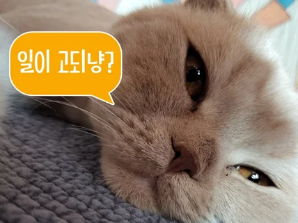'돈' 냄새 물씬 나는 상세페이지 제작