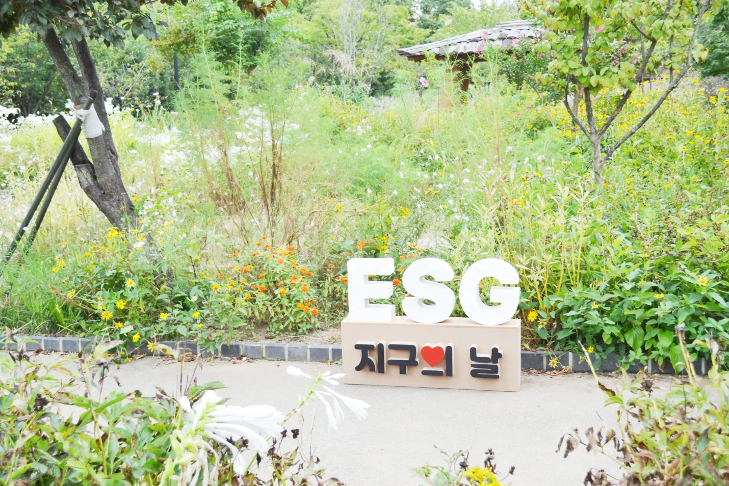 상세이미지-0