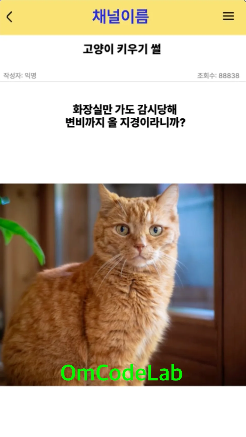 상세이미지-0