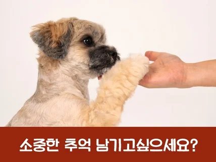 최신 카메라와 렌즈로 촬영하는 고퀄리티 컨셉촬영