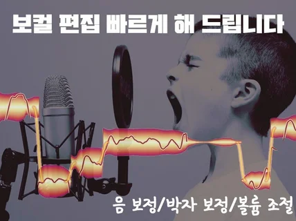 24시간내 보컬 튠,tune,음보정해 드립니다.