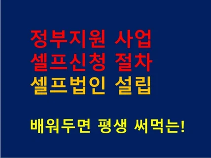 평생 써먹는 셀프 법인설립, 정부지원 신청 방법