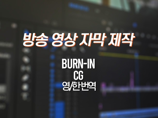 콘텐츠 자막 Burn-in 제작해 드립니다. - 크몽