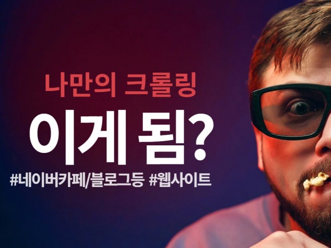 100만 팔로워보유 리나AI 웹크롤링 프로그램제작