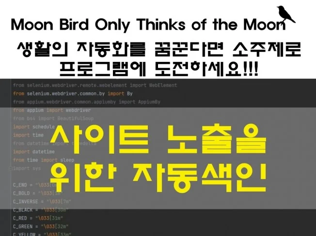 메인 이미지