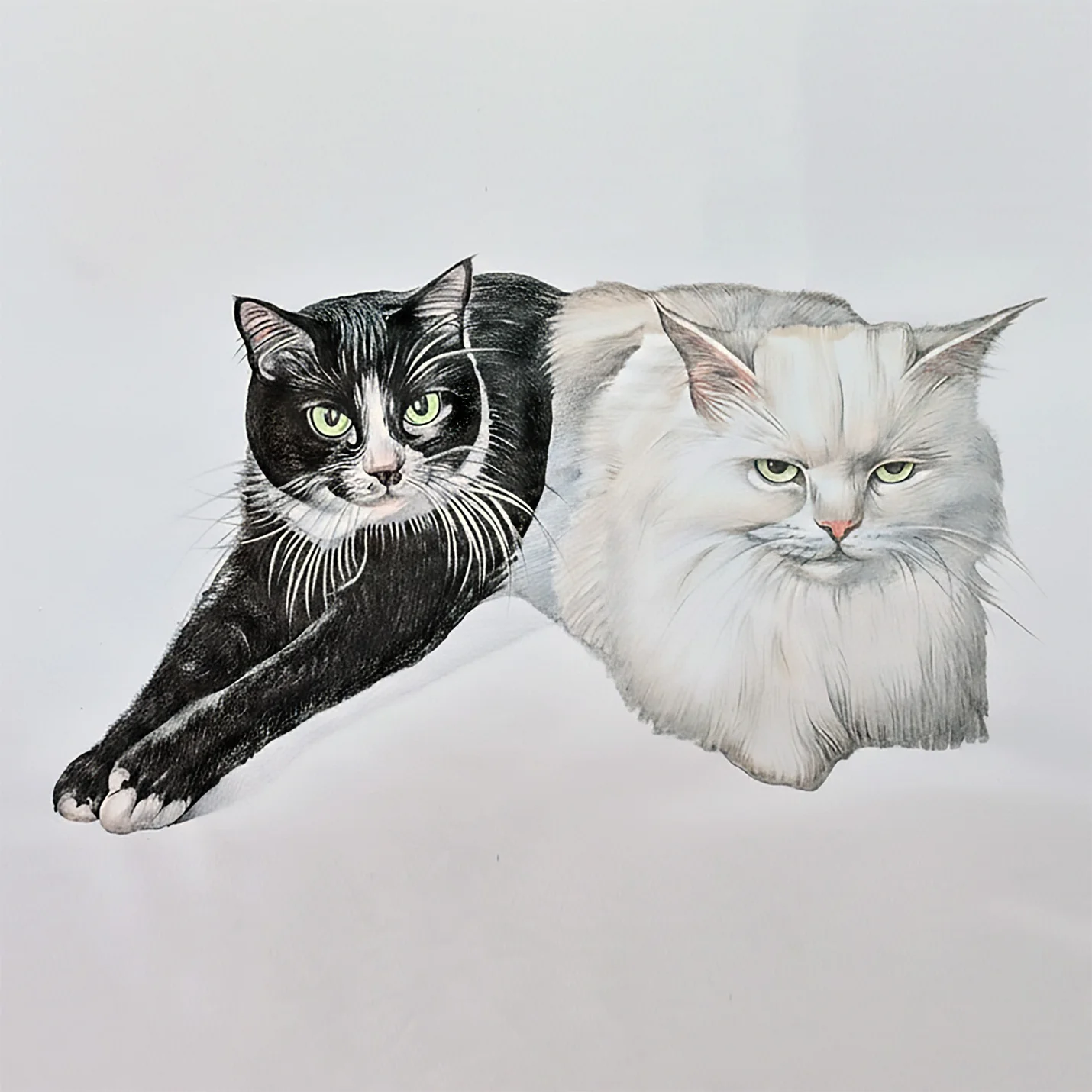 상세이미지-0