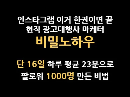 인스타그램 인플루언서 공략집, 월100만원 노하우까지