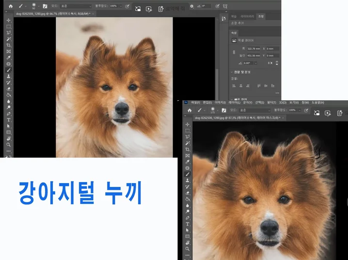 메인 이미지