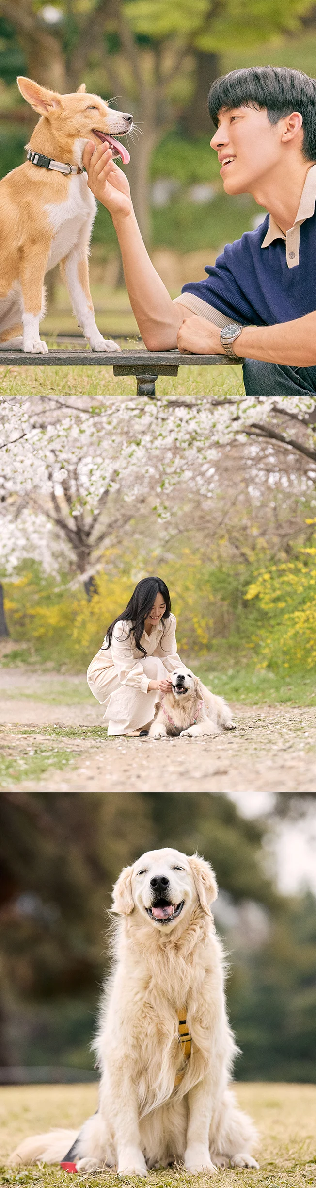 상세이미지-4