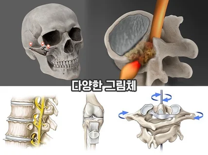 고퀄리티 메디컬,의료,논문 일러스트 제작해 드립니다