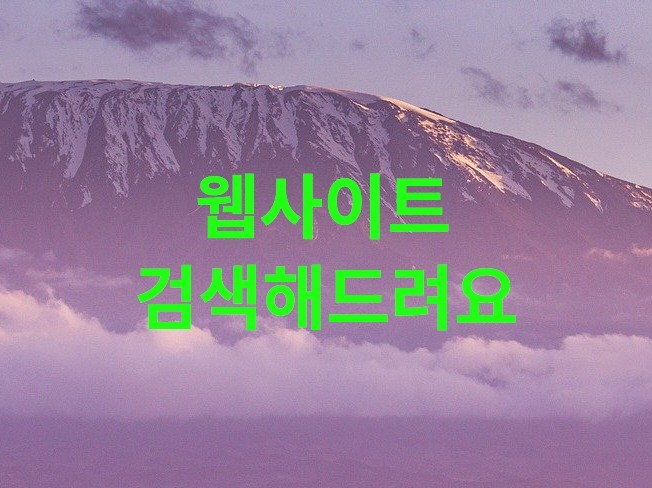 필요하신 웹사이트를 검색해 드립니다.