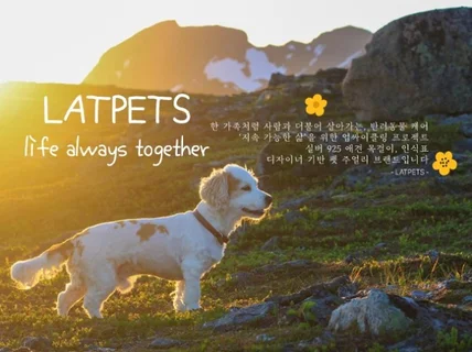 첫눈에 반하는 홈페이지형 블로그