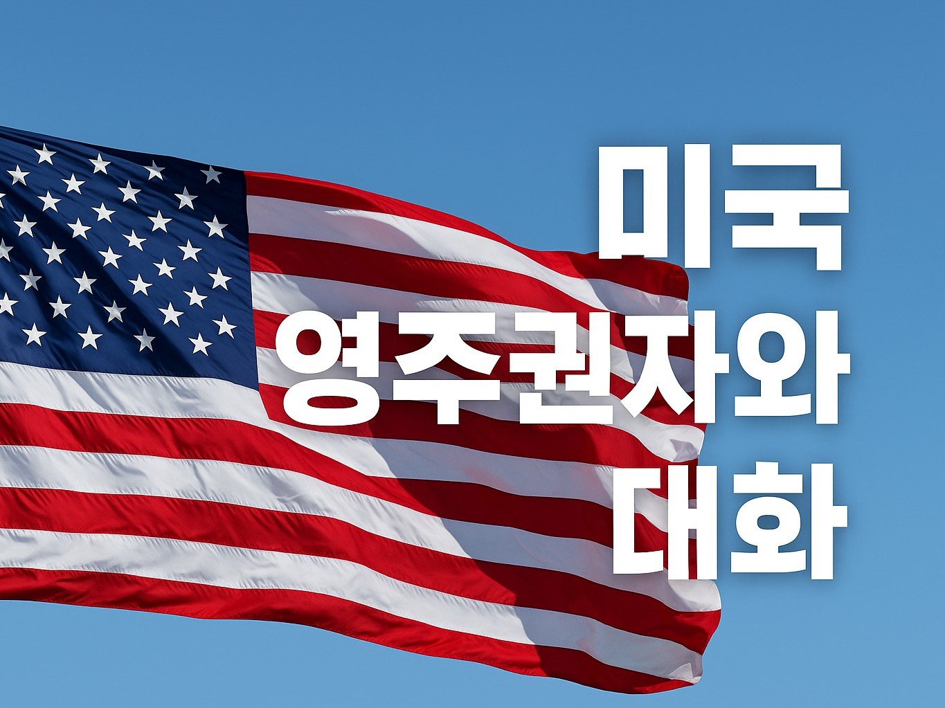 미국 영주권자와 1대1 대화 - 크몽