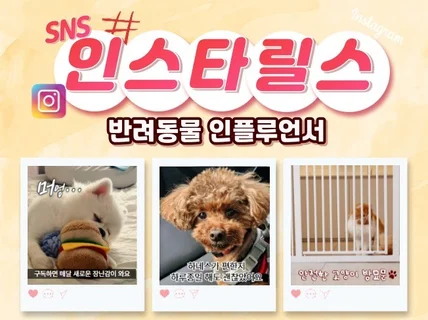 반려동물/펫 전문 인스타 인플루언서 릴스 숏폼 체험단