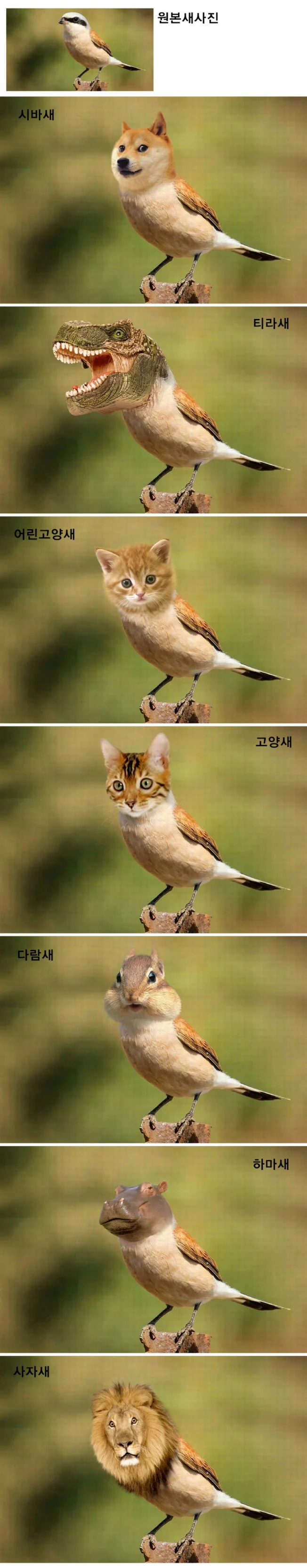 상세이미지-1