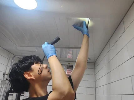 해충방역 전문서비스