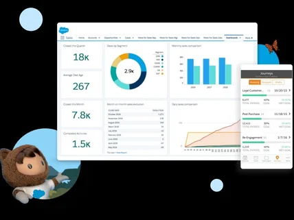 Salesforce 구축 및 개발 해드려요.